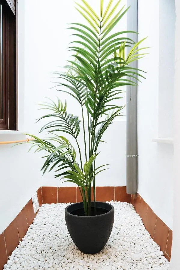 Hostly Orfila1 Centrico Con 2 Dorm Y Fibra Apartment Seville